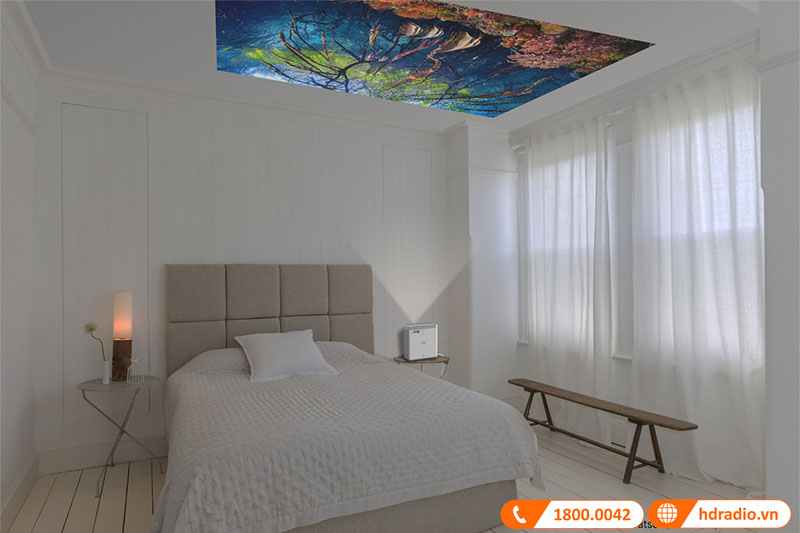 đưa giải trí lên tầm cao mới