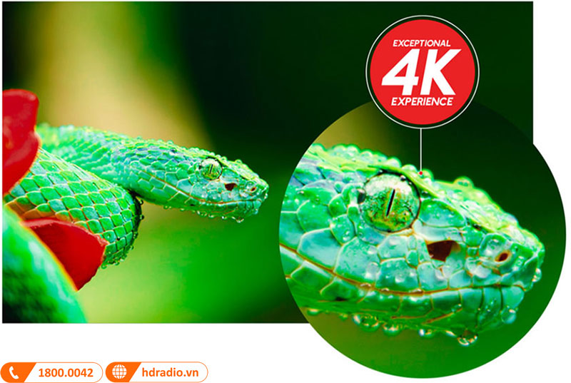 Máy chiếu phim siêu gần Epson EH-LS800B