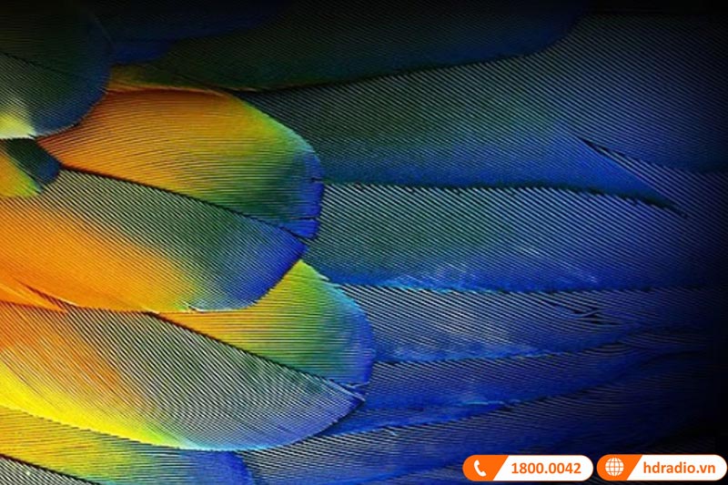 Máy chiếu Epson EH-TW9400