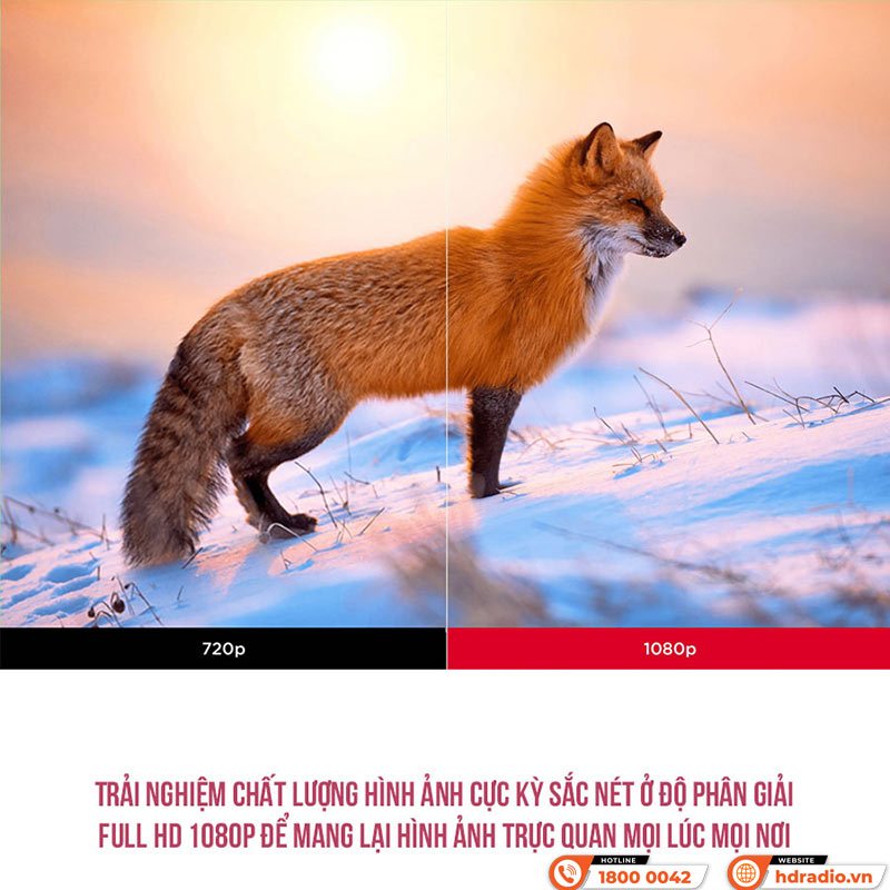 Máy Chiếu Viewsonic PX704HD, 4000 ANSI Lumens, Full HD (1920x1080)-6