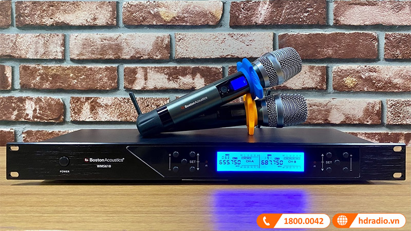 Micro Boston Acoustics WMS610