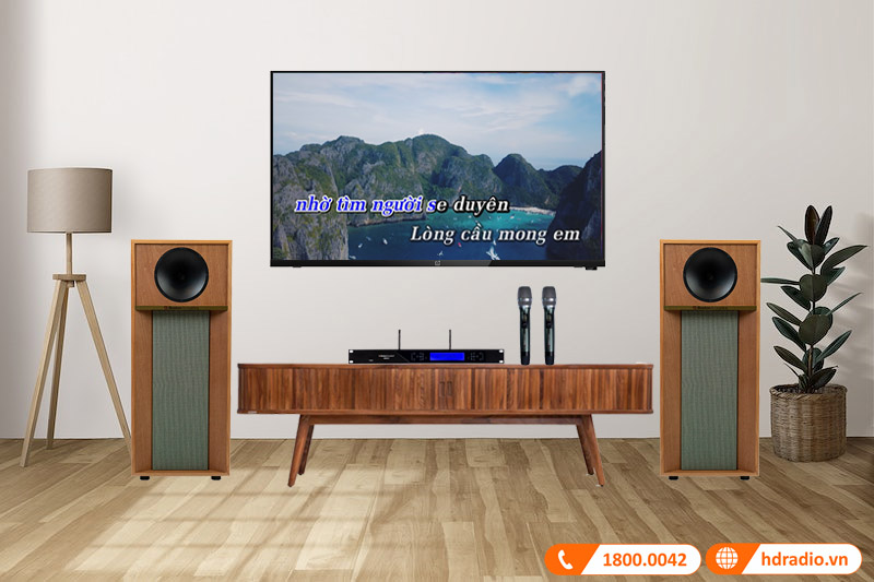 mẫu micro hoàn hảo cho biểu diễn trực tiếp