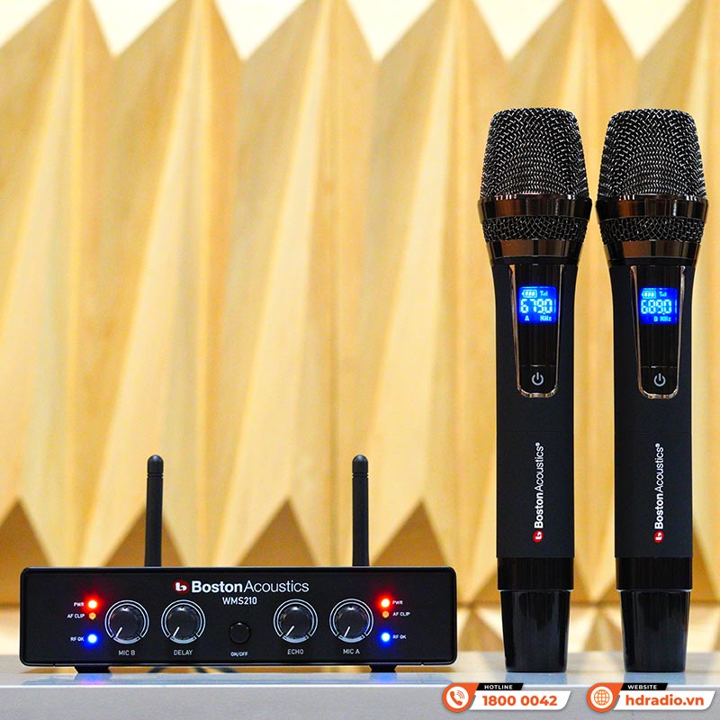 Micro Boston WMS210, Tích hợp Echo-11