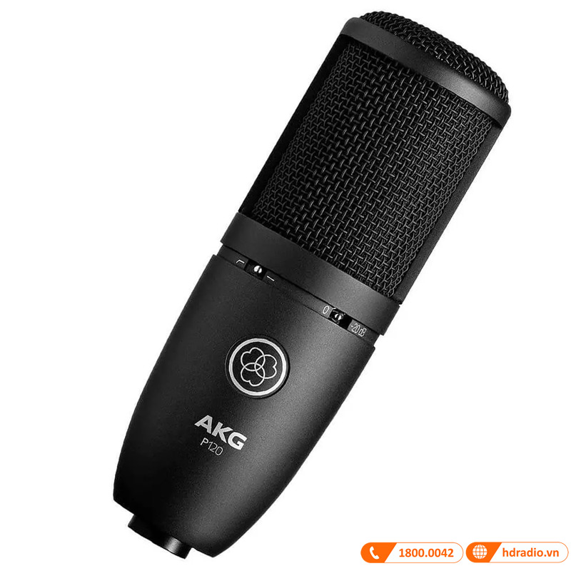 Micro AKG P120