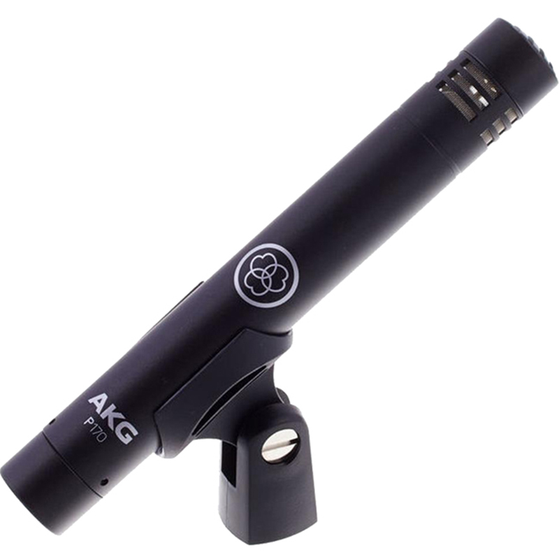 Micro AKG P170-1