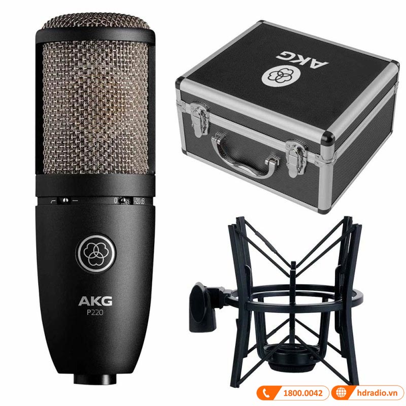 Micro AKG P220