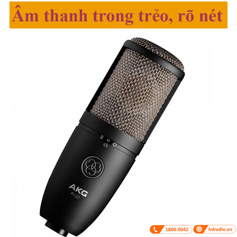 Micro AKG P220