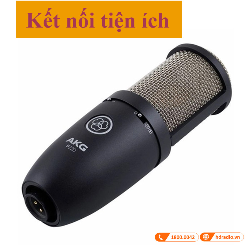 Micro AKG P220