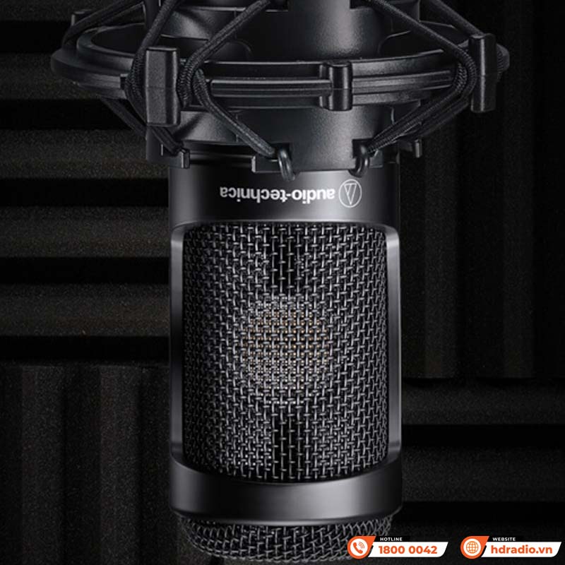 Micro Audio-Technica AT2035