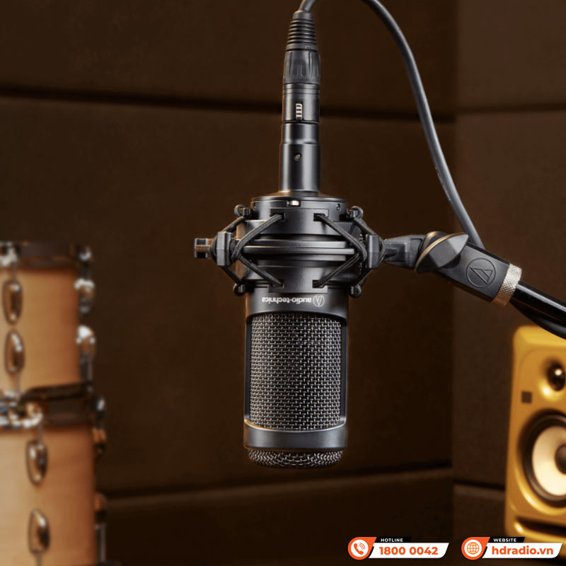 Micro Audio-Technica AT2050