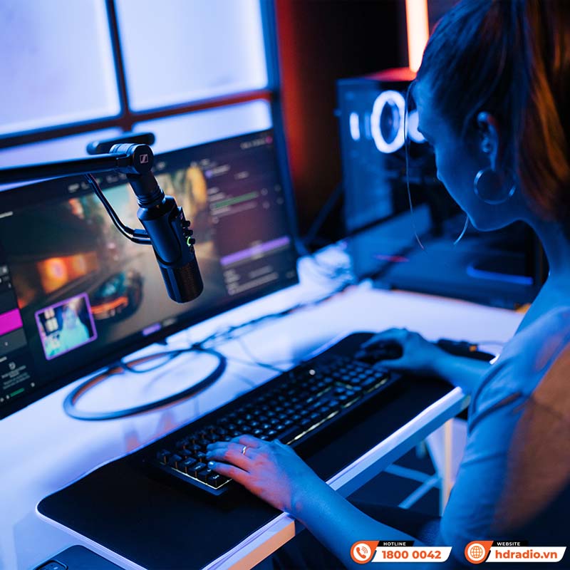 Micro Sennheiser Profile USB