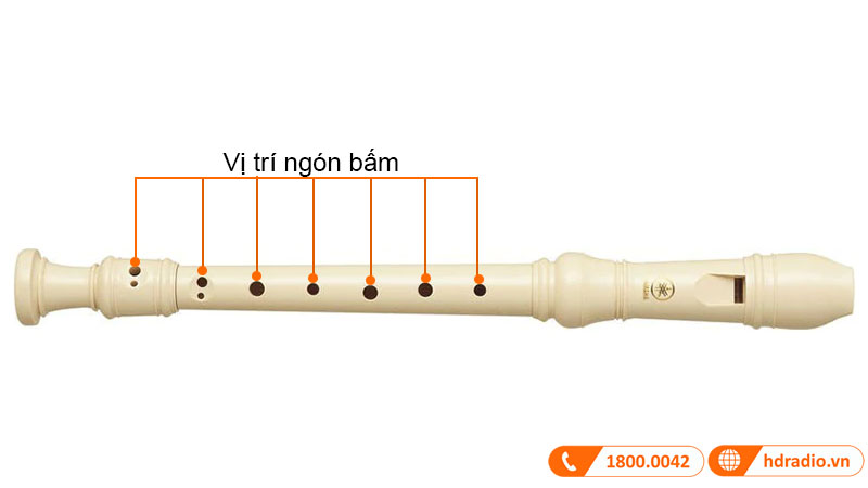 Sáo Tiêu Yamaha YRS-24B