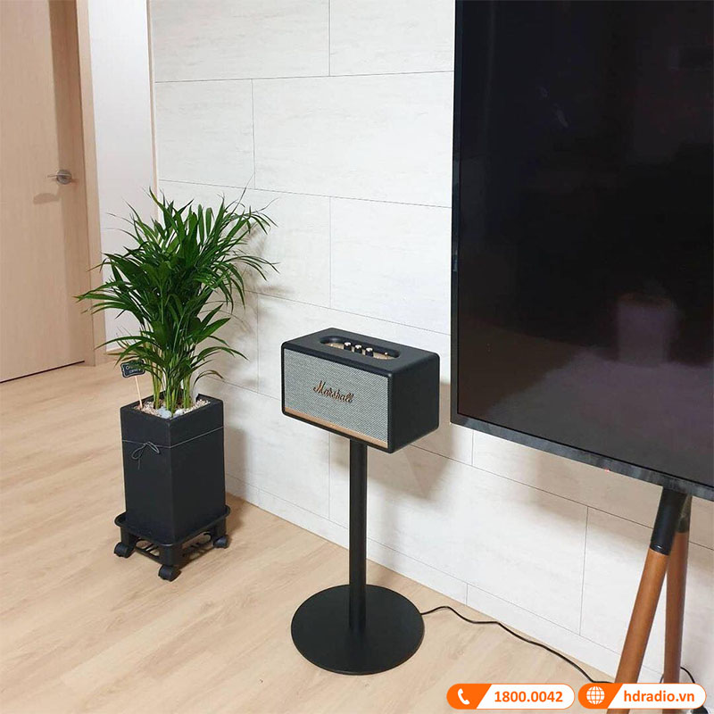 chan loa Marshall Stanmore