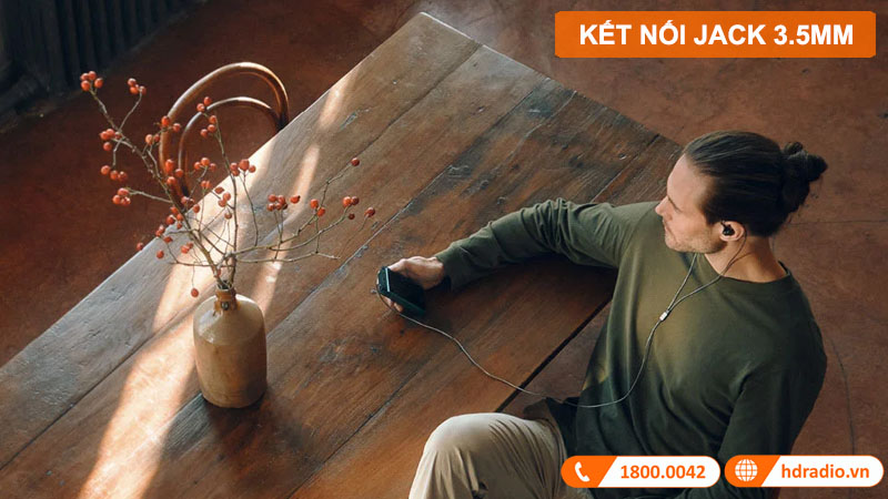 Tai Nghe Sennheiser IE 300