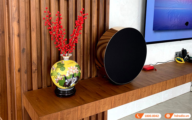 Loa B&O Beosound Edge