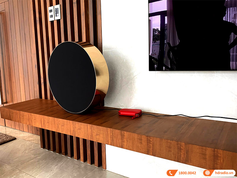 Loa B&O Beosound Edge