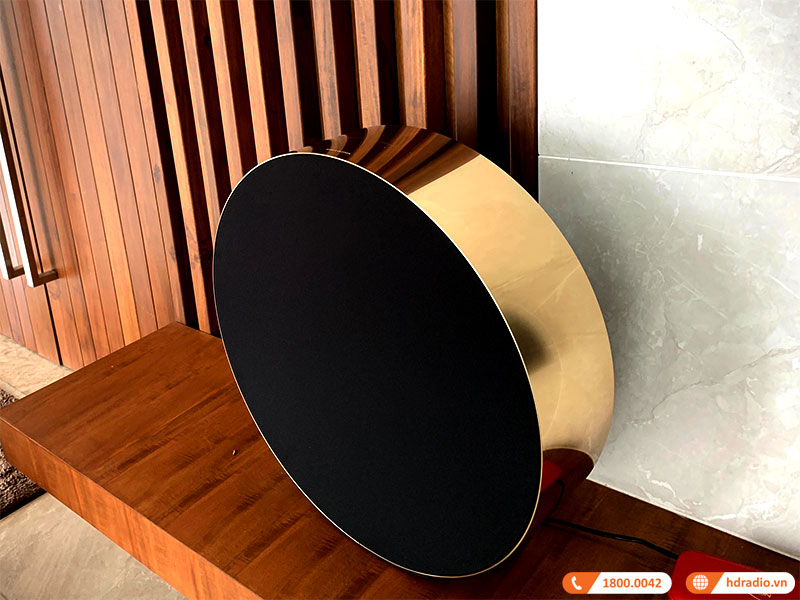 Loa B&O Beosound Edge