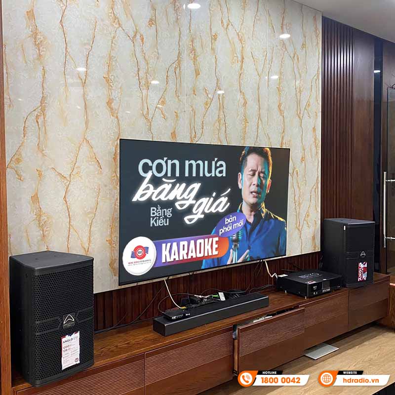 Dàn karaoke gia đình HK98 (Wharfedale Anglo E10, Neko AK3500)-5