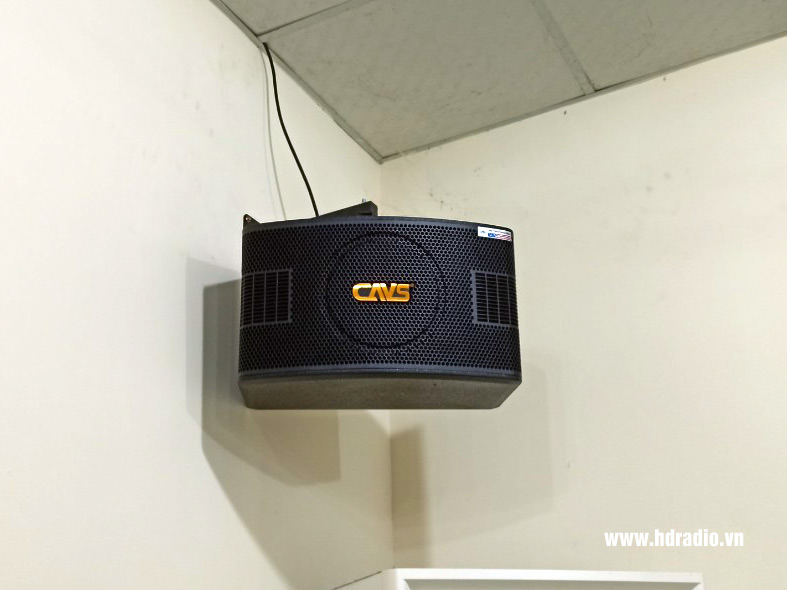 chi-lan-o-thong-nhat-dong-nai4