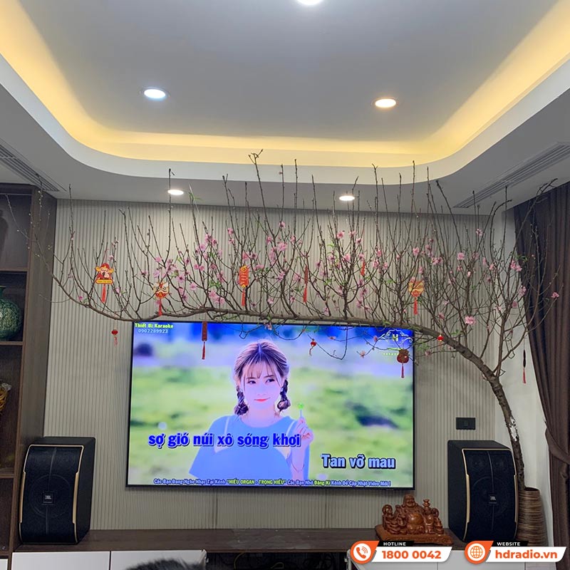 Dàn Karaoke JBL gia đình GD09 (Pasion 10, H2400, X6000 plus, B5 Pro)-2