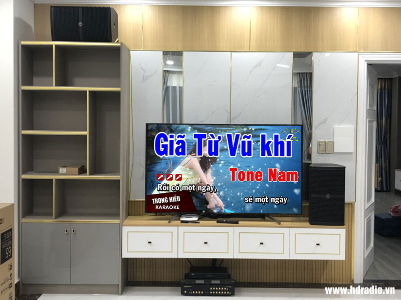 Lắp dàn karaoke cho chị Phương ở Thủ Đức, Hồ Chí Minh (Loa Wharfedale WH10 NEO, Amply Navison No 206, Đầu ViệtK 4K Plus 4TB, Micro không dây Navison No 38)