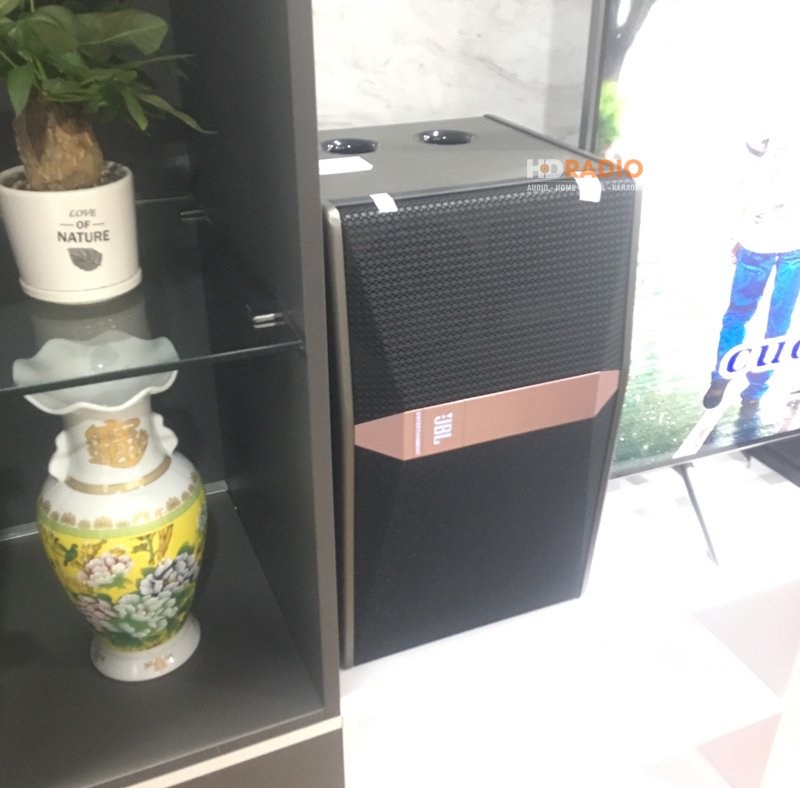 lap-dan-karaoke-chi-thuy6