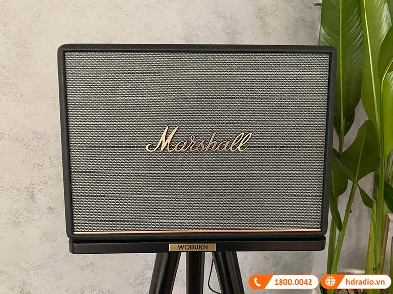Loa Marshall Woburn 3 (III) của chị Thúy ở Quận 5, Hồ Chí Minh