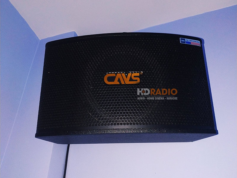 anh-quang-binh-thanh-2