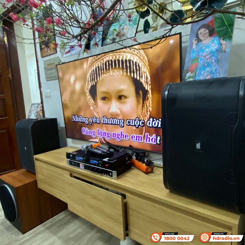 Lắp đặt Loa Karaoke JBL RM210 chính hãng