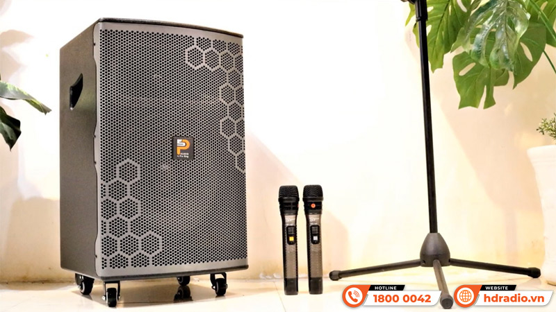 Làm thế nào để chọn loa kéo karaoke phù hợp với nguồn điện và thời lượng sử dụng