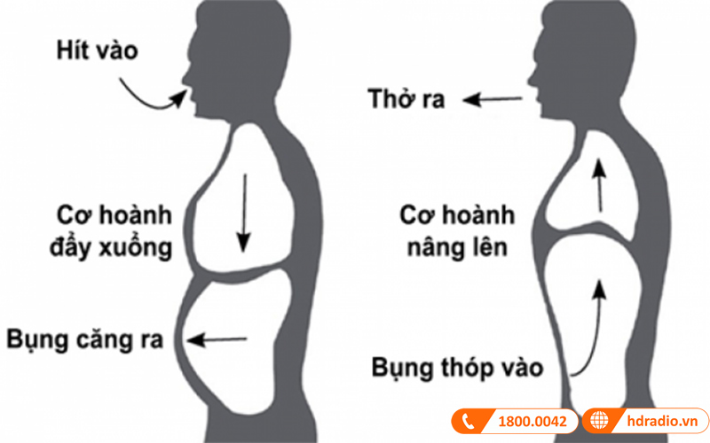 Cách học hát hay giúp bạn tự tin khi cầm micro karaoke ở bất cứ đâu