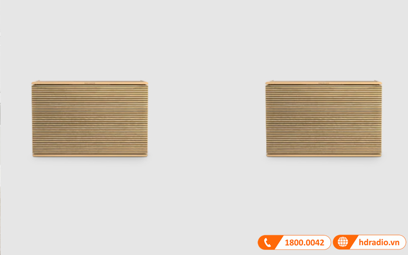 BEOSOUND LEVEL STEREO SET Giải pháp nghe nhạc stereo lý tưởng 2022