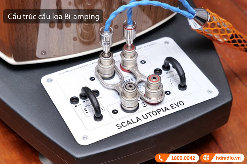 Cấu trúc cầu loa bi-amping