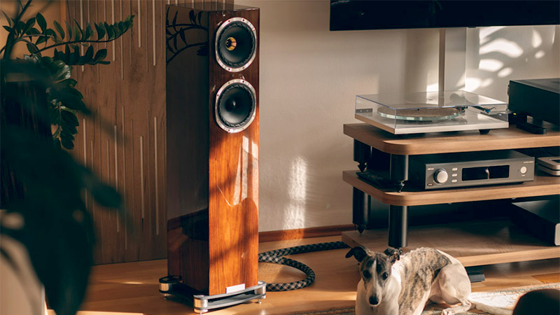 Fyne Audio cho ra mắt phiên bản loa đứng đặc biệt giới hạn mang tên F501SP với những nâng cấp ấn tượng Fyne Audio cho ra mắt phiên bản loa đứng đặc biệt giới hạn mang tên F501SP với những nâng cấp ấn tượng