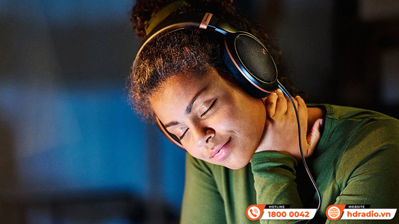 Tai nghe Sennheiser HD505