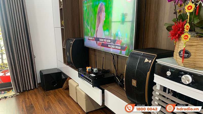 Điều quan trọng khi lựa chọn loa sub cho hệ thống karaoke