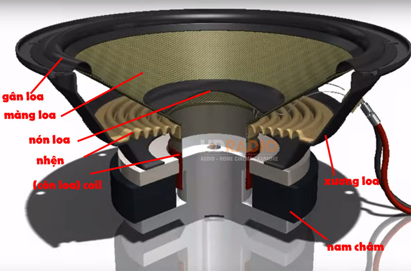 cấu tạo loa bass