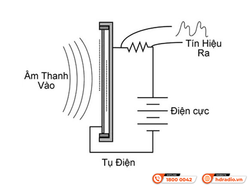 Micro condenser là gì và Nguyên lý hoạt động