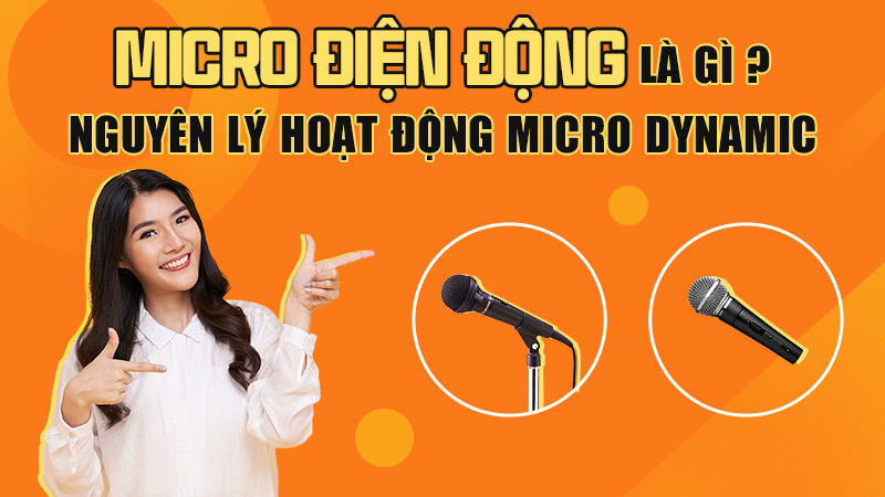 Micro điện động là gì?