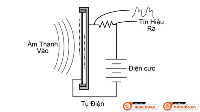 Micro Condenser là gì?