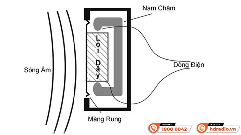 Micro Dynamic là gì?