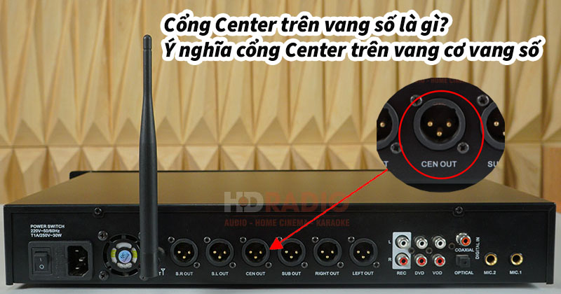 Cổng Center trên vang số là gì? Ý nghĩa cổng Center trên vang cơ vang số