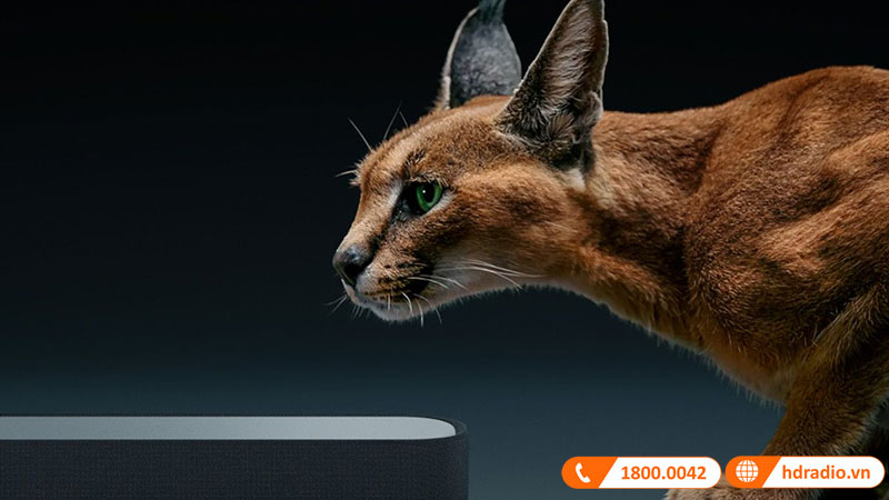 Loa Sennheiser Ambeo Soundbar Mini Loa Sennheiser Ambeo Soundbar Mini